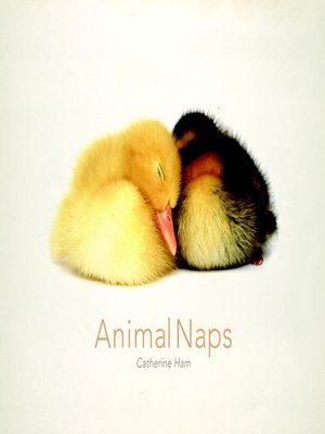 cover image of Animal Naps
